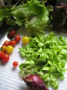 my urban farming – my vegie market :-)