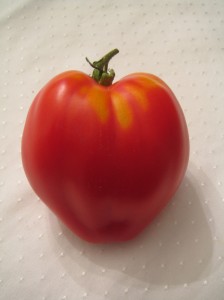 my urban farming – tomato heart